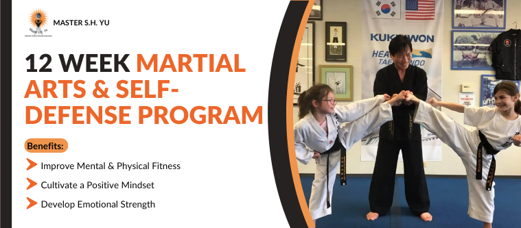 12 Week Martial Arts And Self Defense Program In Oak Park, IL