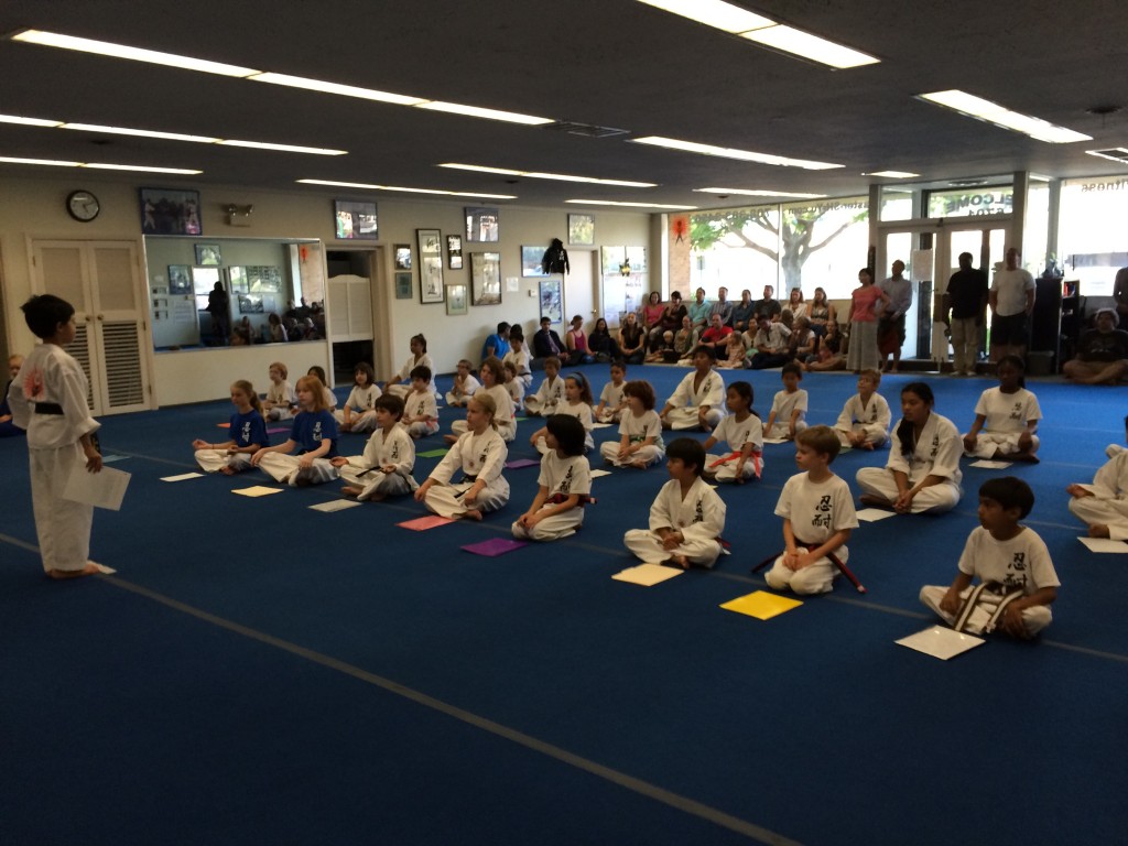 Kids Karate Classes Riverside IL Martial Arts For Kids