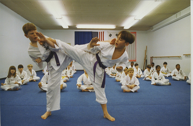 Kids Karate Classes Riverside IL 