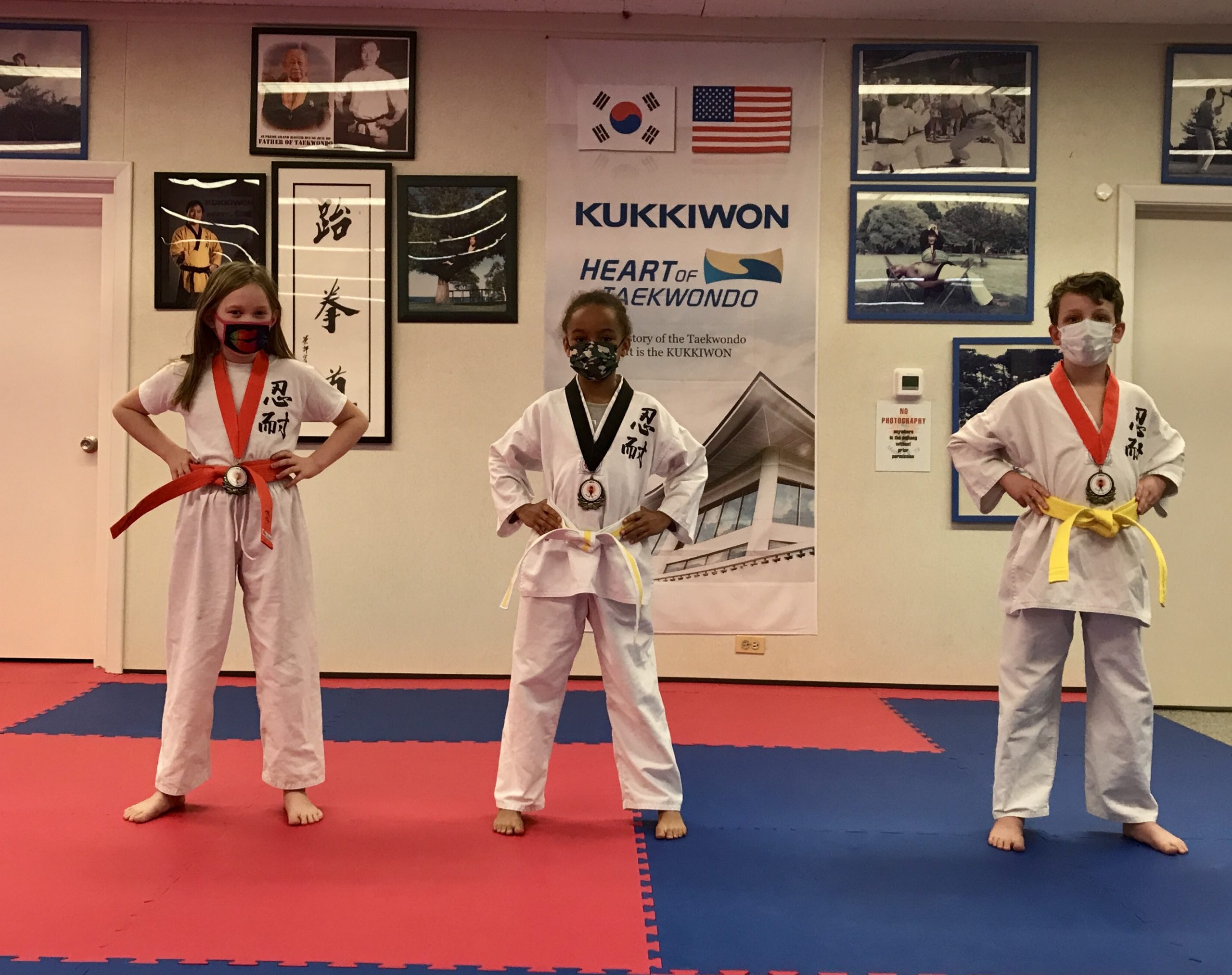 taekwondo belts in order