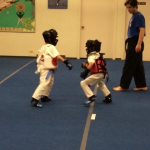 Sparring Practice And Martial Arts Equipment1