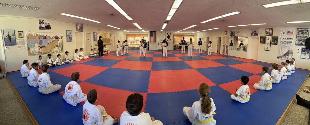 Martial Arts class panorama view with Master Yu 