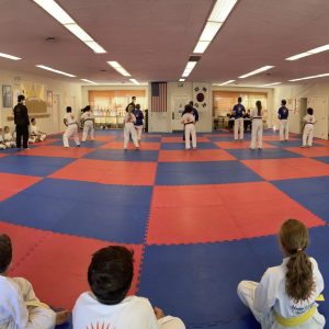 Martial Arts Class Panorama View With Master Yu