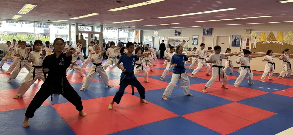 Students in Master S.H. Yu Martial Arts classes